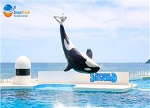 [HCM] Tour Nhật Bản Hè 2025: Thủy cung Seaworld Kamogawa - Công viên Disneyland - Tokyo